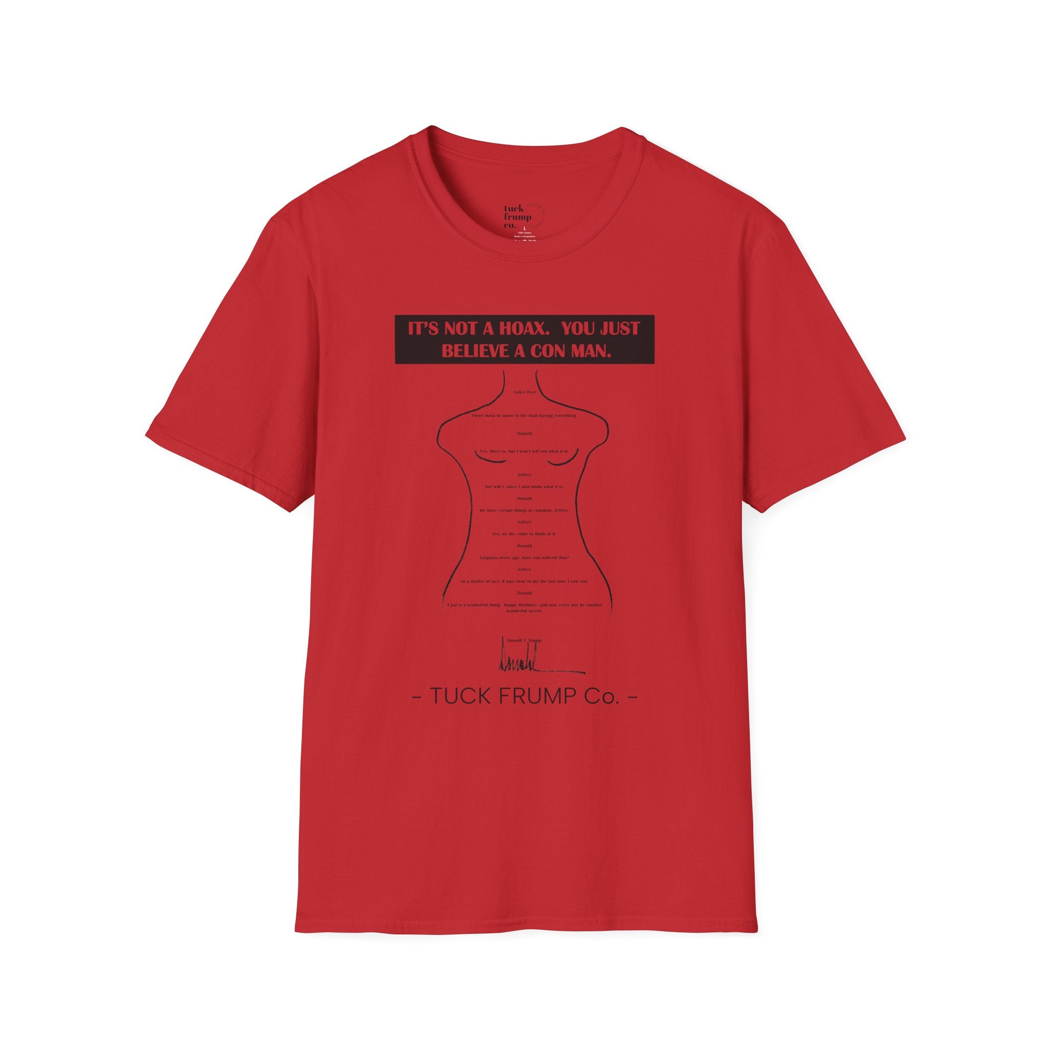IT'S NOT A HOAX - T Shirt
